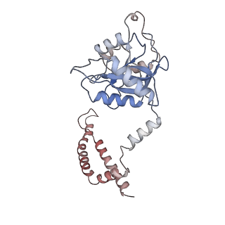 8666_5vfs_c_v1-0
Nucleotide-Driven Triple-State Remodeling of the AAA-ATPase Channel in the Activated Human 26S Proteasome