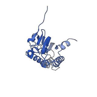 21197_6vgk_A_v1-1
ClpP1P2 complex from M. tuberculosis