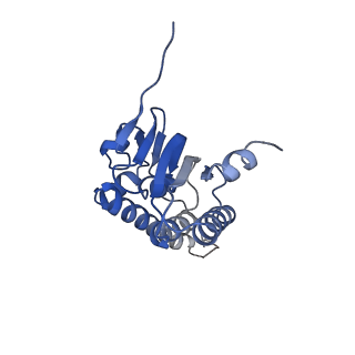 21197_6vgk_A_v1-2
ClpP1P2 complex from M. tuberculosis