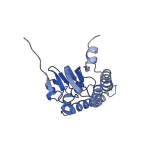 21197_6vgk_B_v1-1
ClpP1P2 complex from M. tuberculosis