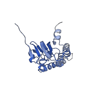 21197_6vgk_B_v1-2
ClpP1P2 complex from M. tuberculosis