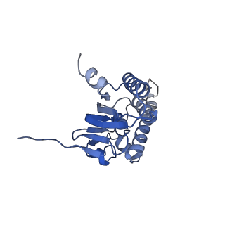 21197_6vgk_C_v1-1
ClpP1P2 complex from M. tuberculosis