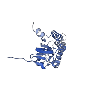 21197_6vgk_C_v1-2
ClpP1P2 complex from M. tuberculosis