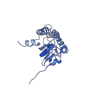 21197_6vgk_D_v1-2
ClpP1P2 complex from M. tuberculosis