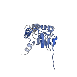 21197_6vgk_E_v1-1
ClpP1P2 complex from M. tuberculosis