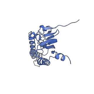 21197_6vgk_G_v1-1
ClpP1P2 complex from M. tuberculosis