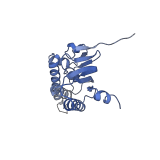 21197_6vgk_G_v1-2
ClpP1P2 complex from M. tuberculosis