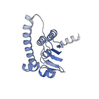 21197_6vgk_H_v1-2
ClpP1P2 complex from M. tuberculosis