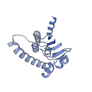 21197_6vgk_I_v1-2
ClpP1P2 complex from M. tuberculosis