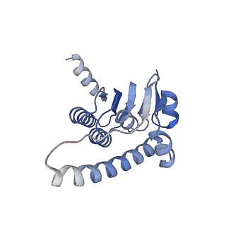 21197_6vgk_J_v1-2
ClpP1P2 complex from M. tuberculosis