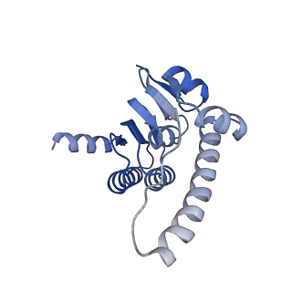 21197_6vgk_K_v1-2
ClpP1P2 complex from M. tuberculosis