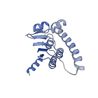 21197_6vgk_L_v1-2
ClpP1P2 complex from M. tuberculosis