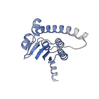 21197_6vgk_M_v1-2
ClpP1P2 complex from M. tuberculosis