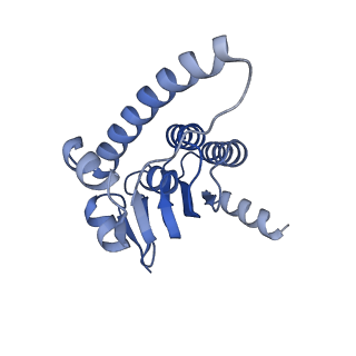 21197_6vgk_N_v1-2
ClpP1P2 complex from M. tuberculosis