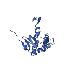 21198_6vgn_B_v1-1
ClpP1P2 complex from M. tuberculosis bound to ADEP