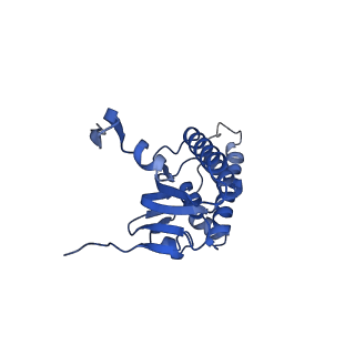 21198_6vgn_C_v1-1
ClpP1P2 complex from M. tuberculosis bound to ADEP