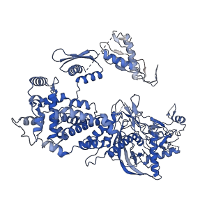 31963_7vg2_A_v1-1
Cryo-EM structure of Arabidopsis DCL3 in complex with a 40-bp RNA