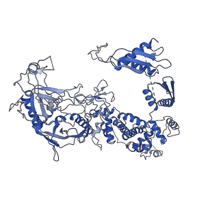 31964_7vg3_A_v1-1
Cryo-EM structure of Arabidopsis DCL3 in complex with a 30-bp RNA