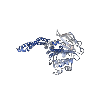 31967_7vgf_A_v1-0
cryo-EM structure of AMP-PNP bound human ABCB7