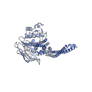 31967_7vgf_B_v1-0
cryo-EM structure of AMP-PNP bound human ABCB7