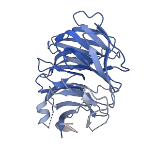 31968_7vgg_A_v1-1
Cryo-EM structure of Ultraviolet-B activated UVR8 in complex with COP1