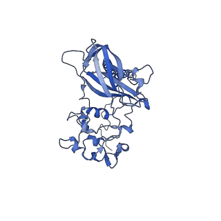 31970_7vgi_A_v1-1
Cryo-EM structure of the human P4-type flippase ATP8B1-CDC50A in the auto-inhibited E2P state