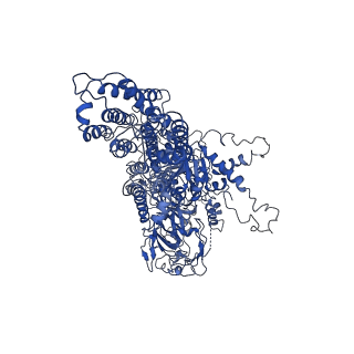 31970_7vgi_B_v1-1
Cryo-EM structure of the human P4-type flippase ATP8B1-CDC50A in the auto-inhibited E2P state