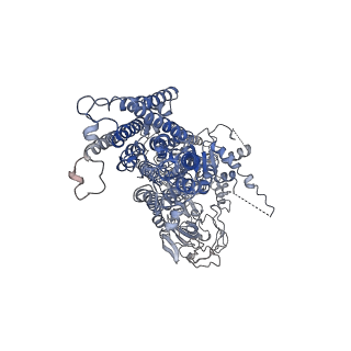 31971_7vgj_A_v1-1
Cryo-EM structure of the human P4-type flippase ATP8B1-CDC50A in the auto-inhibited E2Pi-PS state