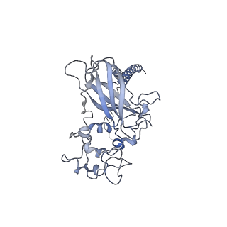 31971_7vgj_B_v1-1
Cryo-EM structure of the human P4-type flippase ATP8B1-CDC50A in the auto-inhibited E2Pi-PS state