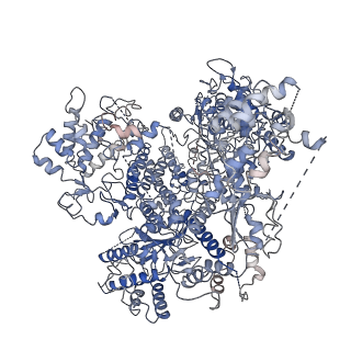 31975_7vgq_A_v1-1
Cryo-EM structure of Machupo virus polymerase L in complex with matrix protein Z