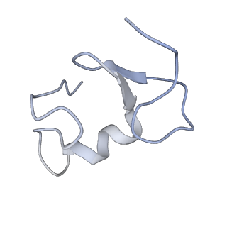 31975_7vgq_B_v1-1
Cryo-EM structure of Machupo virus polymerase L in complex with matrix protein Z