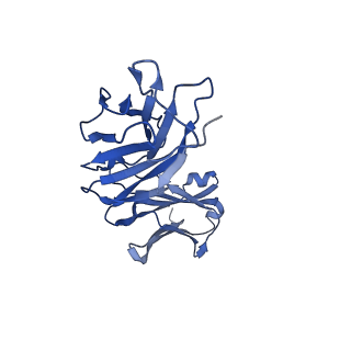31977_7vgr_E_v1-1
SARS-CoV-2 M protein dimer (long form) in complex with YN7756_1 Fab