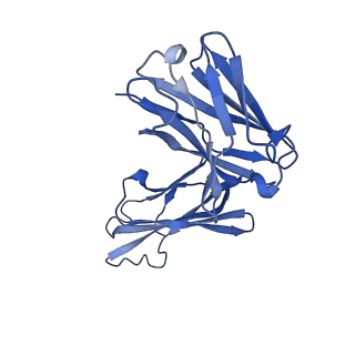 31977_7vgr_F_v1-1
SARS-CoV-2 M protein dimer (long form) in complex with YN7756_1 Fab
