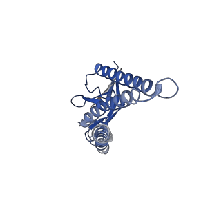 31978_7vgs_A_v1-1
SARS-CoV-2 M protein dimer (short form) in complex with YN7717_9 Fab