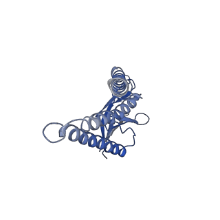 31978_7vgs_B_v1-1
SARS-CoV-2 M protein dimer (short form) in complex with YN7717_9 Fab