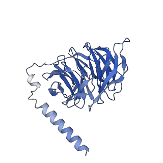 31980_7vgy_C_v1-1
Melatonin receptor1-2-Iodomelatonin-Gicomplex
