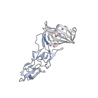 43224_8vgt_A_v1-0
Structure of the HKU1 RBD bound to the human TMPRSS2 receptor