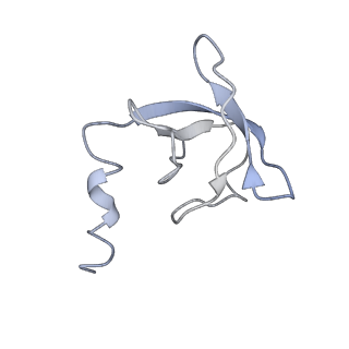 8672_5vgz_B_v1-2
Conformational Landscape of the p28-Bound Human Proteasome Regulatory Particle