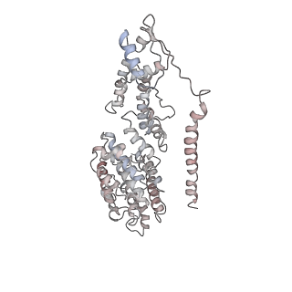 8672_5vgz_V_v1-2
Conformational Landscape of the p28-Bound Human Proteasome Regulatory Particle