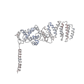 8672_5vgz_W_v1-2
Conformational Landscape of the p28-Bound Human Proteasome Regulatory Particle