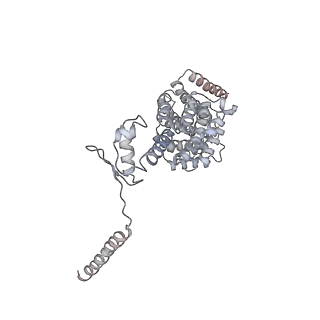 8672_5vgz_X_v1-2
Conformational Landscape of the p28-Bound Human Proteasome Regulatory Particle