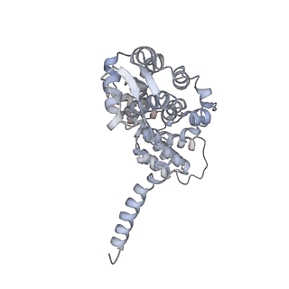 8672_5vgz_Y_v1-2
Conformational Landscape of the p28-Bound Human Proteasome Regulatory Particle