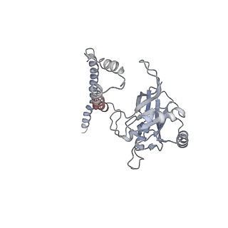 8672_5vgz_Z_v1-2
Conformational Landscape of the p28-Bound Human Proteasome Regulatory Particle