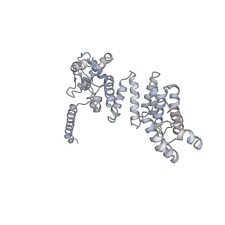 8672_5vgz_a_v1-2
Conformational Landscape of the p28-Bound Human Proteasome Regulatory Particle