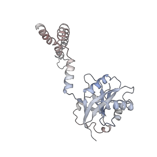 8672_5vgz_c_v1-2
Conformational Landscape of the p28-Bound Human Proteasome Regulatory Particle