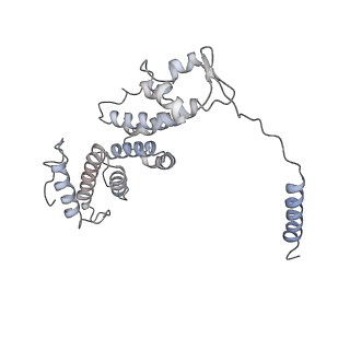 8672_5vgz_d_v1-2
Conformational Landscape of the p28-Bound Human Proteasome Regulatory Particle