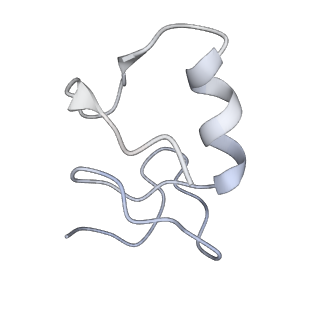 31983_7vh1_B_v1-1
Cryo-EM structure of Machupo virus dimeric L-Z complex