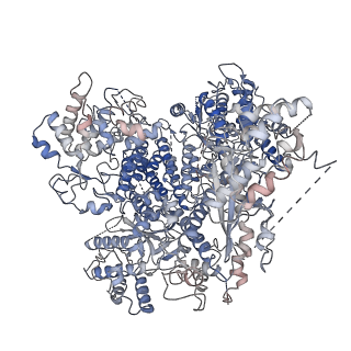 31985_7vh3_A_v1-1
Cryo-EM structure of Machupo virus polymerase L