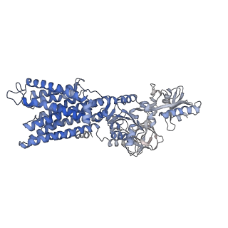 31988_7vh6_A_v1-1
Cryo-EM structure of the hexameric plasma membrane H+-ATPase in the active state (pH 6.0, BeF3-, conformation 1, C1 symmetry)