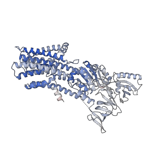 31988_7vh6_B_v1-1
Cryo-EM structure of the hexameric plasma membrane H+-ATPase in the active state (pH 6.0, BeF3-, conformation 1, C1 symmetry)